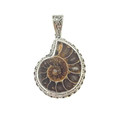 Pendentif ammolite argent sterling 925 fini les bijoux ternes et communs
