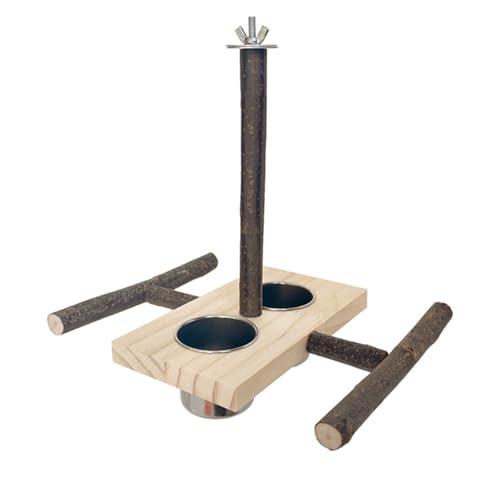 aJbv̂ᒹƂ܂؃X^hg[jOXNb`[P𚐃IECRؐX^h