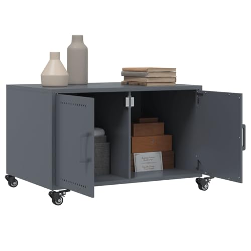 Table basse gain de place avec grands rangements fermés