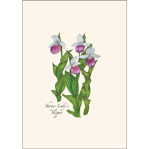 Image of Earth Sky + Water - Native Orchid Assortment Assortment Notecard Set - 8 Blank Cards with Envelopes (2 each of 4 styles)