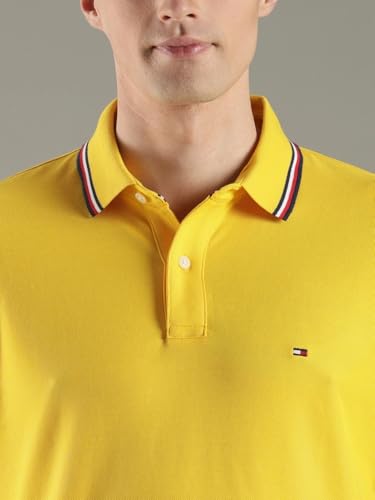 Image of Tommy Hilfiger Men Polo Shirt