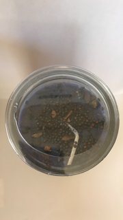 Contra Trabajo Negro