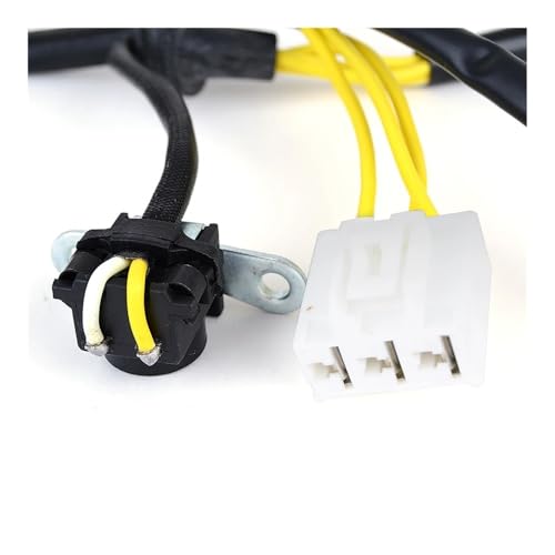 Bobine de stator moto alternative électrique pour SH300 2008-2010 - 4