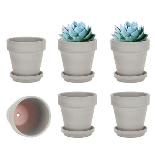 vensovo 10,2cm Grauer Tontopf für Pflanzen mit Untertasse - 6er Pack Kleiner Terrakotta-Pflanzentopf mit Drainageloch, Blumentopf mit Tablett, Terrakotta-Topf für Indoor Outdoor-Pflanzen