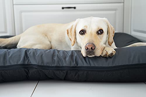 4L Textil KLEO Hundebett mittelgrosse Hunde waschbar Hundekissen mittelgrosse Hunde Hundematte Hundematratze Hundekissen XXL (M-90x70 cm, Graphit(Mit Reißverschluss))