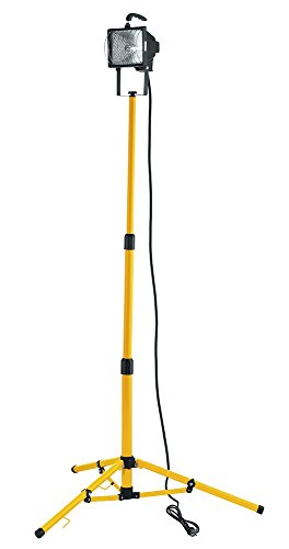 Fan Europe Proiettore con piantata Cavo e Luce LED...