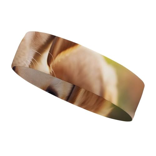 Cute Golden Retriever Puppy Sports Headbands for Man, Non Slip