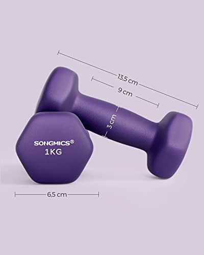 SONGMICS Kurzhanteln Set 2 Stück 2x1 kg Hanteln Hexagon Kurzhanteln mit Neoprenüberzug für Krafttraining Fitness Zuhause (Aschviolett) SYL902P02