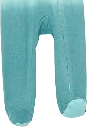 Image of HonestBaby Baby 2-Pack Organic Cotton Footed Pajama Sleep & Play
