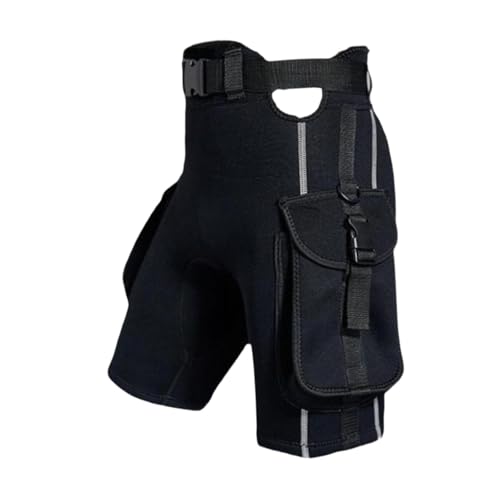 Kioware _CrOV[cAeʃ|PbgtlIvAlIvV[cApc, XL