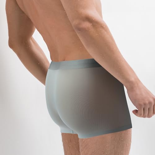 Men's Underwear Boxer Briefs Cooling Mesh Breathable Moisture-Wicking Ice silk Underwear For Men 4 Pack3