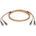Black Box 3m (9.8ft) STST OR OM2 MM Fiber Patch Cable INDR Zip OFNR