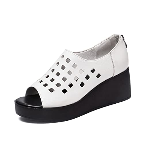 [qkeusf]  EFbW\[ T_ T_ fB[X u[cT_ zCg RtH[gT_ 芴 Vv T}[  ₷ y EGbW\[ t@Xi[bV Ȃ q[ 22.0cm r ItBX 