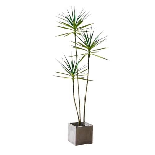 Fuyutu �K���̖؁E�h���Z�i �l�H�ϗt�A�� ��^ 140cm-180cm ���t�� �t�F�C�N�O���[�� ���A�� �C���e���A ���� ������� �V�z�j�� �J�X�j��