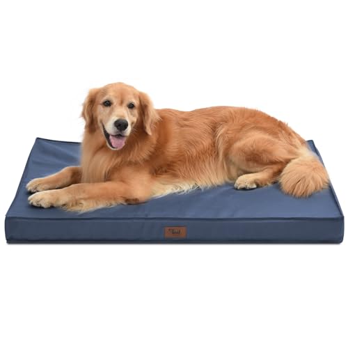 Colchones Perros Grandes Marca Tail Stories