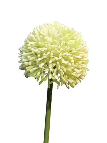 artplants.de Allium Decorativo BAILIN, Verde Crema, 40 cm - Rama de Flores Artificiales
