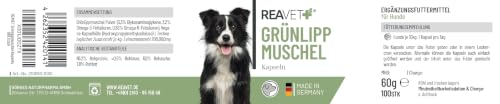 ReaVET Grünlippmuschel Kapseln für Hunde hochdosiert 100Stk – Reines Grünlippmuschelpulver aus Neuseeland I Ergänzungsfuttermittel für Gelenke, Knorpel & Bewegungsapparat