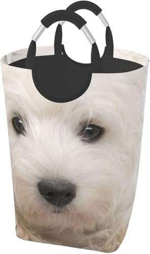 ꂽ̂ ꂽ 킢 EGXg nCh eA̎q ܂肽 [h[{bNX G [obO QA󎺁A LN^[ 킢 ~^