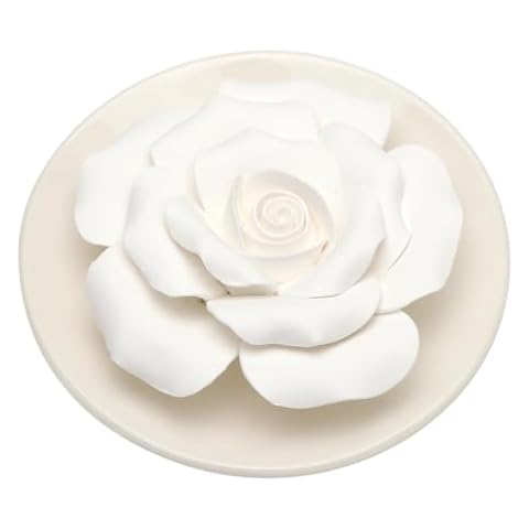 Diffuseur D'huiles Essentielles DAKLUNAR Cover