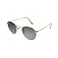 Legend Gold/Green Polarized