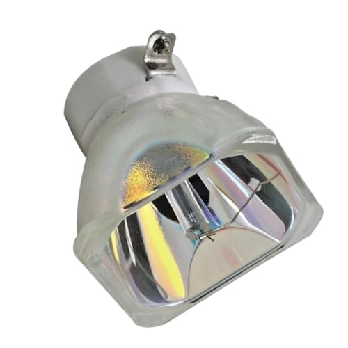 DT01091 pièces de réparation pour projecteurs CP-D10 et ED-D11N