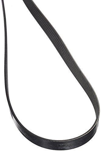 Motorcraft JK-6931AA résout les sifflements de moteur avec sa courroie striée