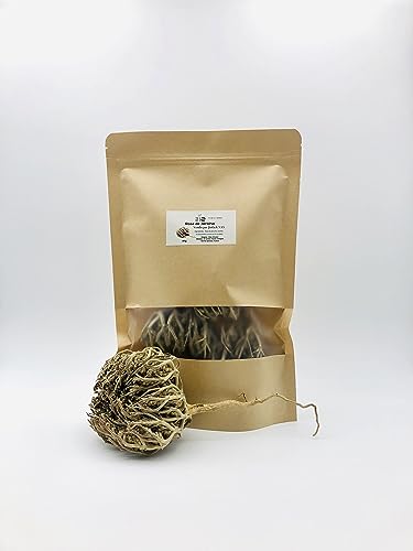 Jio nature 50 g   Rosa de Jericó   Olor original muy pronunciado