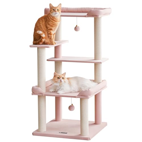 MWPO L^[ Vf ^L VjAL u 芴  ܂Ƃ Lxbh Vv 114cm sN 954I