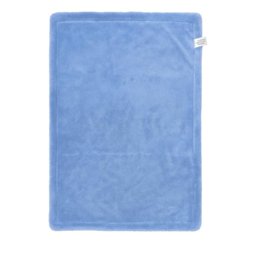 Image of AM Safe-X Microfiber Cloth for Car 1200 GSM 40x60 cms 1 Pcs Twisted Loop Super Absorbent Towel, Edgeless Design with Plush Pile & Lint Free Cloth for Drying & Detailing, Metallic Blue & Grey