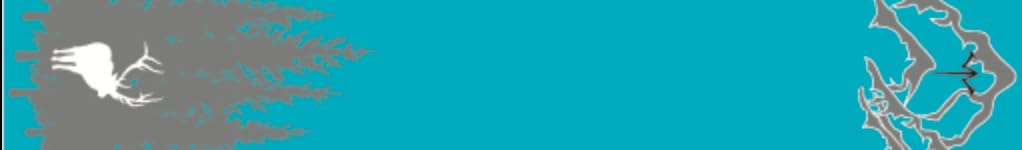 White Water Archery Aqua Blue Elk Arrow Wraps 15 Pc Pack Choose Length Width Laminated or Non-Laminated (Laminated, 5