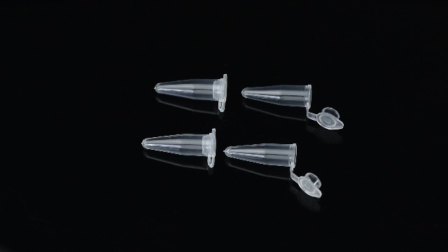 BKMAMLAB 0.2ml Microcentrifuge Tubes 300 Pieces, EO Sterilized Plastic Small Vials with Caps for Sample Storage Without Leakage(300)