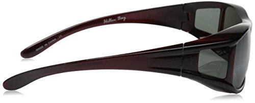 Polarized Over-Prescription Sunglasses P77 (Tortoise / Smoke)3