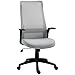 Vinsetto Silla de Oficina Ergonómica Silla Escritorio Giratoria con Altura Ajustable Reposabrazos Soporte Lumbar y Respaldo Alto Transpirable 62x62x113-122 cm Gris