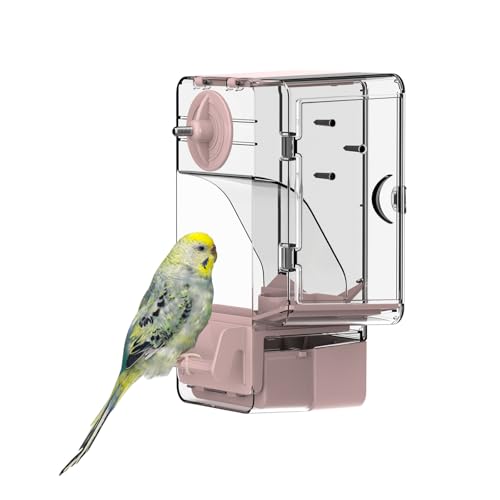 Comedero automático para pájaros, comedero para Jaula de pájaros con Percha Soporte Multifuncional para Frutas y Verduras para Periquito, Canario, cacatúa, pinzón (Rosa)