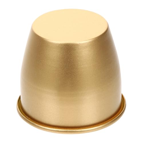 Angoily Moderner Metall Blumentopf Klein in Gold für Sukkulenten und Kakteen Kompakter Garten und Balkonpflanzer für Innenbereich Langlebiges Eisenpflanzgefäß für Wohnzimmer und Büro