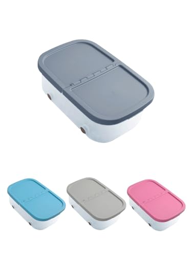 Jardin202 - Cajas de Almacenaje Transparente – Cajas Organizadoras de Plástico con Tapa y Ruedas | 32 litros (Plata)