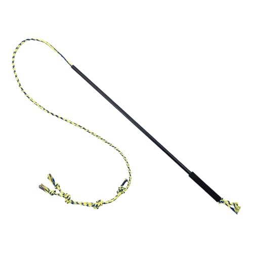 ̂̕CrodړIi[g[jOO^ƃg[jOp̃|[^ũg[jOXeBbN̂߂̃C^NeBuȕCbh