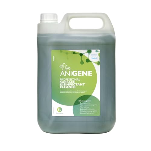 ANIGENE Surface Disinfectant Cleaner (5 Litre Apple Scent) - Disinfectant Solution For Use Around Animals & Pets Kills Bacteria Viruses Fungi & Yeast Non-Corrosive In Use - Made In The UK