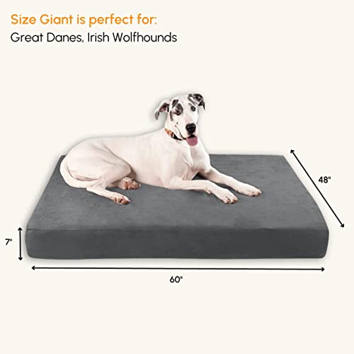 Big Barker Sleek Orthopedic Dog Bed - 7” Dog Sofa Bed For Large Dogs W/Washable & Chew-Resistant Microsuede Cover - Sleek Elevated Dog Bed Made In The Usa W/ 10-Year Warranty (Sleek, Giant, Charcoal) #TOP1