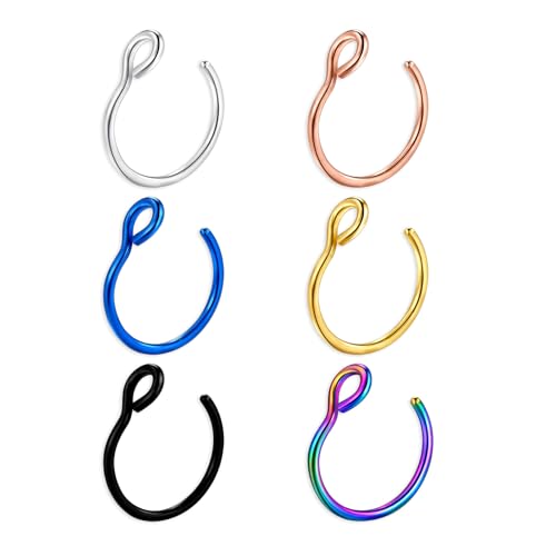 Amzlysdok 6PCS Fake Nose Ring Multiple Colors Fashion Clip On Nose Ring Hoop No Piercing Needed Nose Cuff 20 Gauge Faux Piercing for Women Men (8mm)