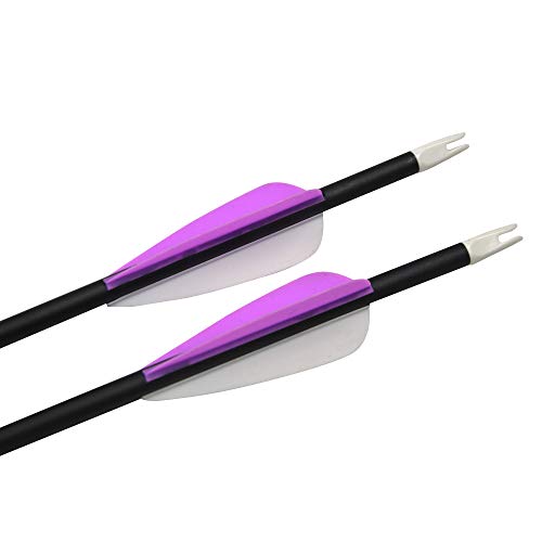 Sharrow Archery Carbon Arrows 30 Inch Hunting Arrows Target Practice Spine 500 With 3" Arrow Vanes Removable Tips Arrow Quiver For Recurve & Compound Bo (12 Pcs Arrow) #TOP5