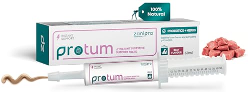 Zanipro Pasta Probiotica e Prebiotica per Cani e Gatti contro la Diarrea e dopo il Vermifugo, 3 Miliardi di Fermenti Vivi, Cura Intestinale – Rassodamento delle Feci (60ml) Manzo