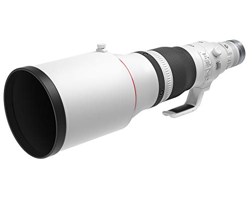 Canon RF 600mm f/4L IS USM