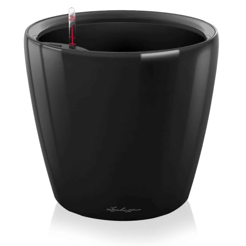 Lechuza Classico LS 35