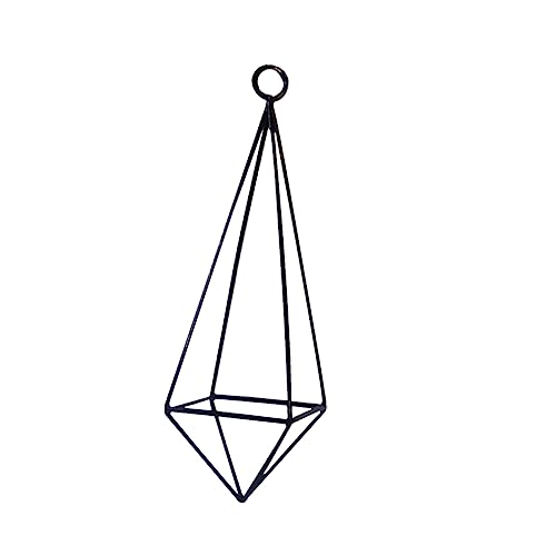 Abaodam 1Pc Hanging Flower Rack Metal Plant Display Holder for Home Unique Hollow Design Durable Wall Ornament for Air Plants Succulents and Indoor Use Black