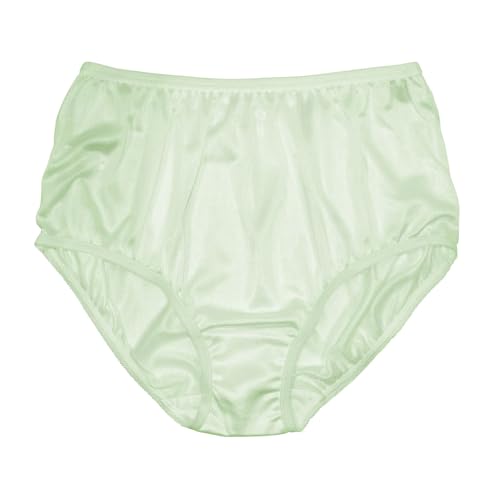 Image of Teri Women's 331 Plain Jane Classic Nylon Silky-Smooth Lightweight Breathable Full Coverage Brief Panty - 4 Pack