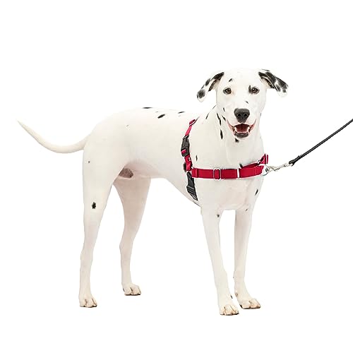 La mejor selección de Centros de Lavado EASY - 5 favoritos. 43 PetSafe Easy Walk Arnés (M/L) (Rojo)