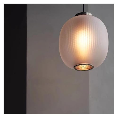 Suspension en verre dépoli LED restaurant lustre moderne blanc chaud D24CM
