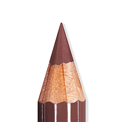 MESAUDA ARTIST LIPS 102 Palisander