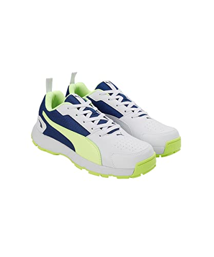 Image of Puma Men Cricket HighRun Cricket Shoe